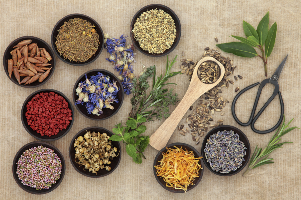 Research-on-Naturopathy